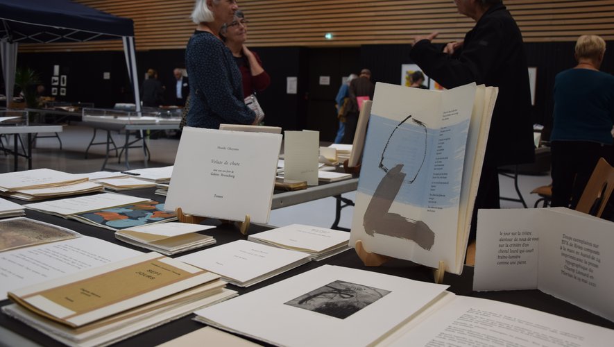 Biennale du livre d'artiste de Rodez 2022 © Photo Ph. H. Journal La Dépêche