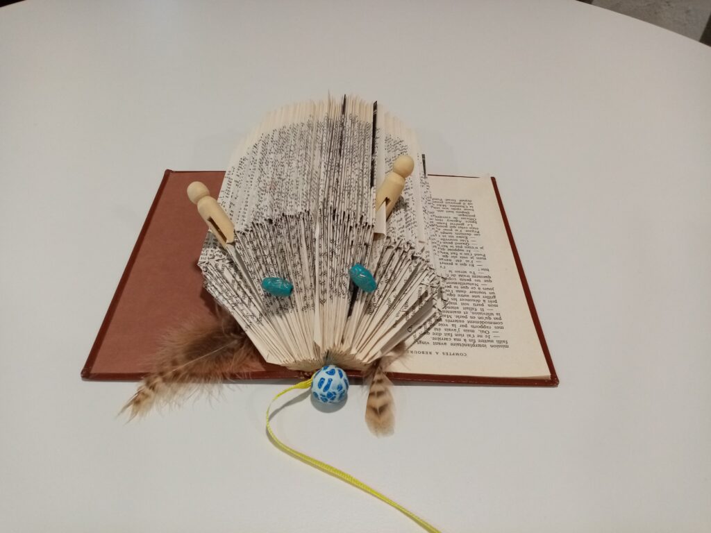 Atelier livre hérisson