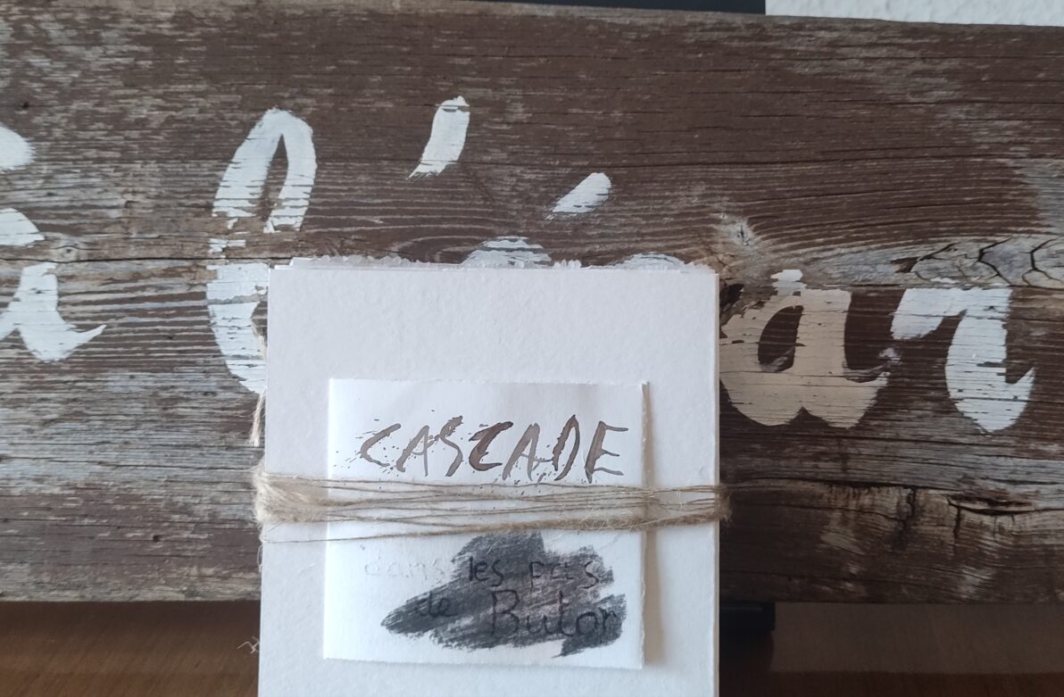 "Cascade", Livre d'artiste réalisé collectivement le 4 février 2024 avec une douzaine de participants au Manoir des livres