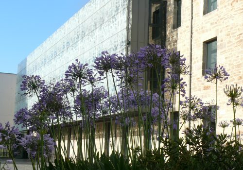 Médiathèque Alain Gérard_Quimper (29)